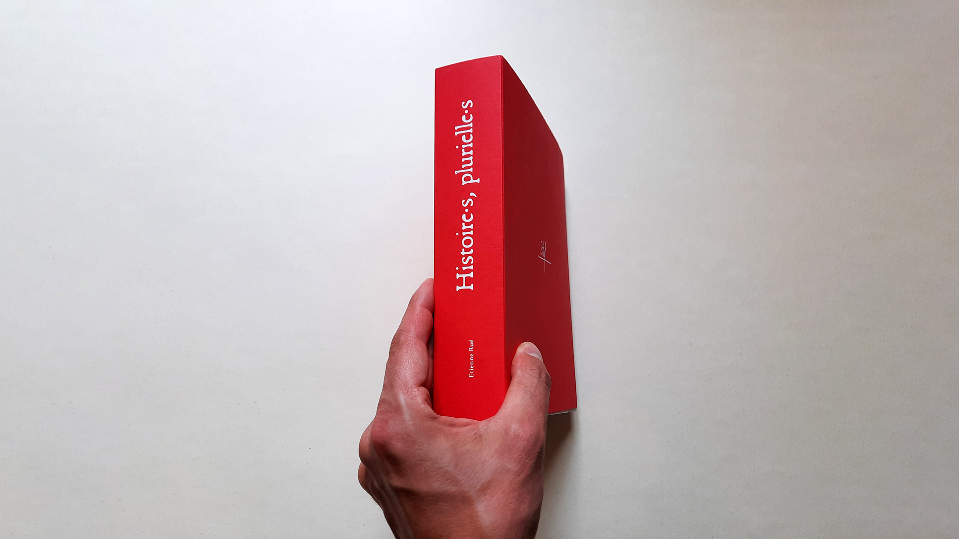 Histoire·s, plurielle·s — tranche du livre