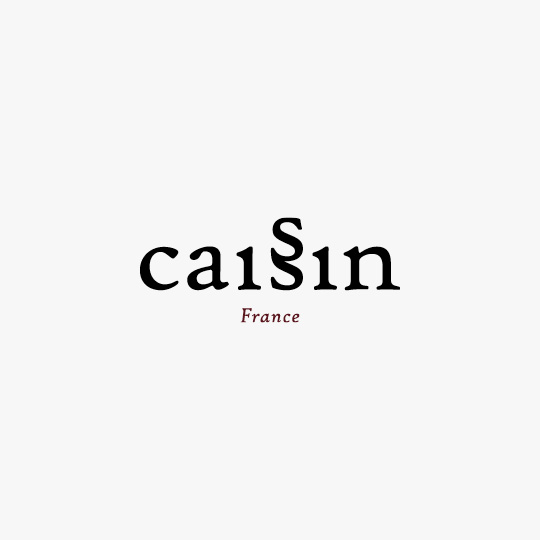 Logotype Caissin