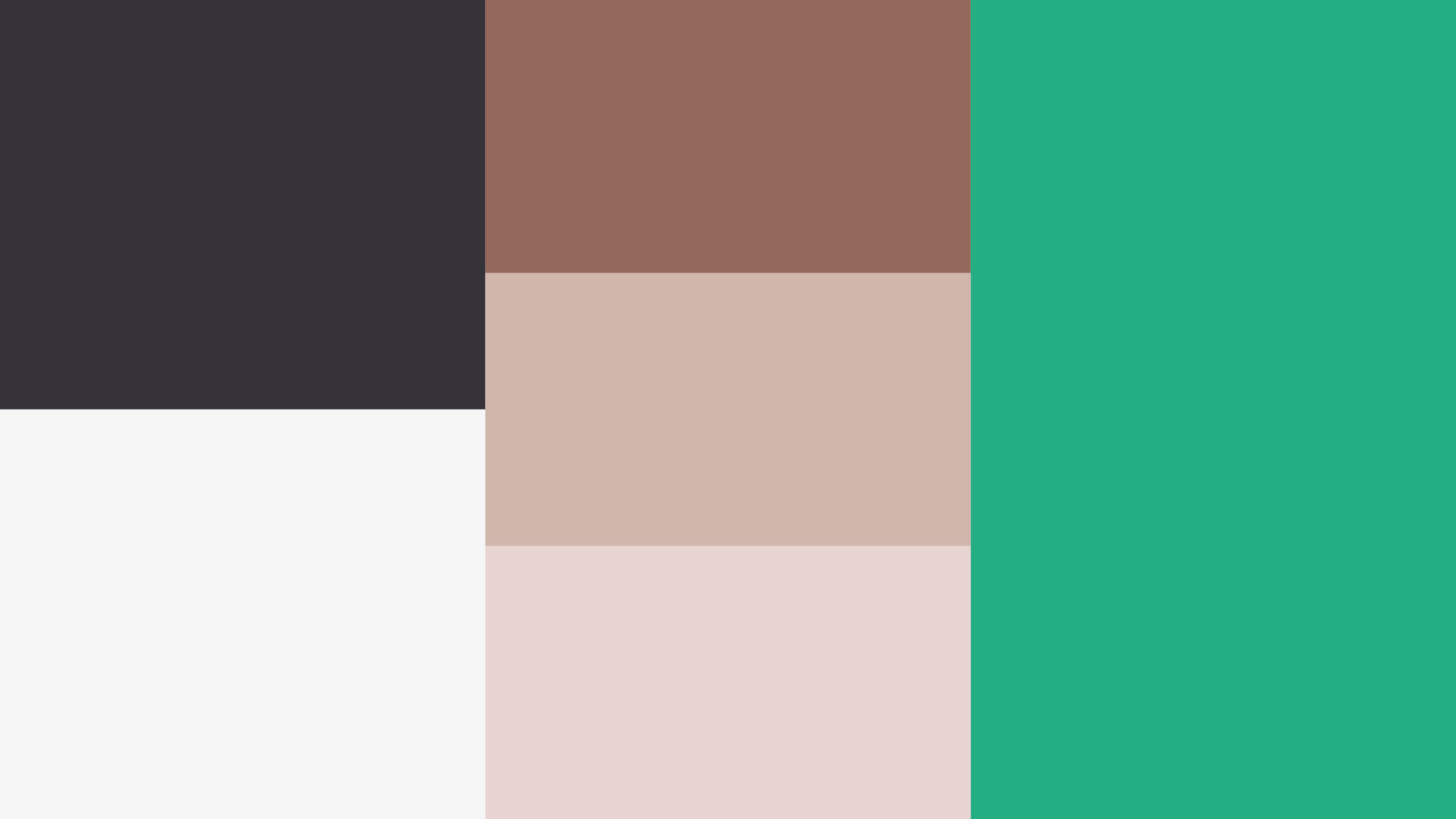 Planche couleur de la nouvelle identité visuelle de Pion