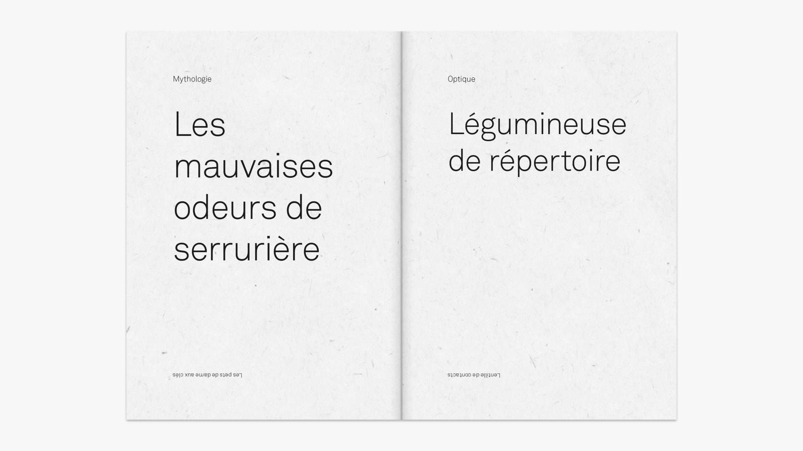 jojos de mots — double page intérieure