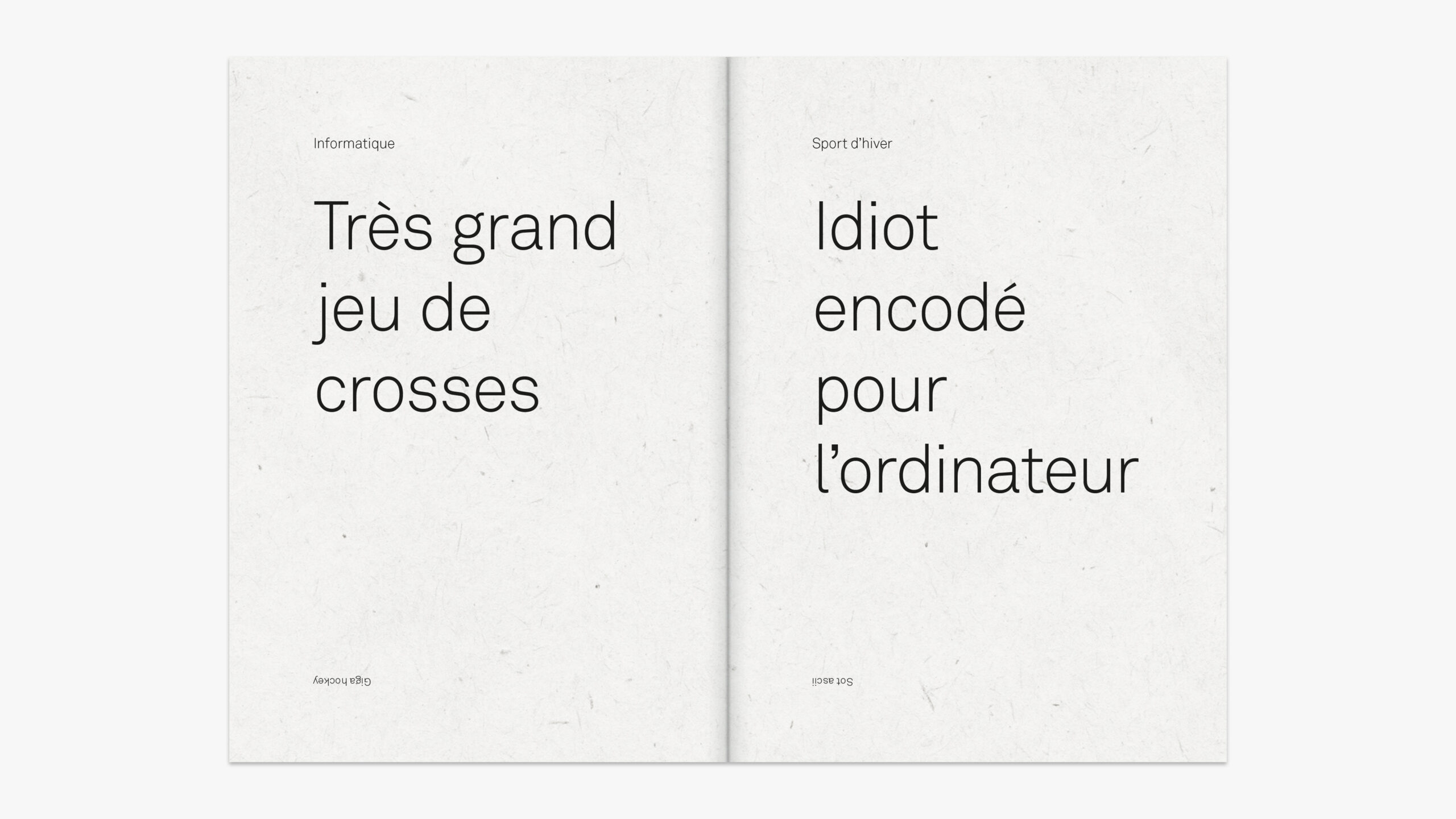 jojos de mots — double page intérieure